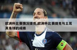 开云体育平台APP-捷克队在预选赛中赢得一场关键胜利，晋级