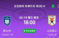 开云体育平台APP-战术调整严谨，球队迎来关键考验的简单介绍