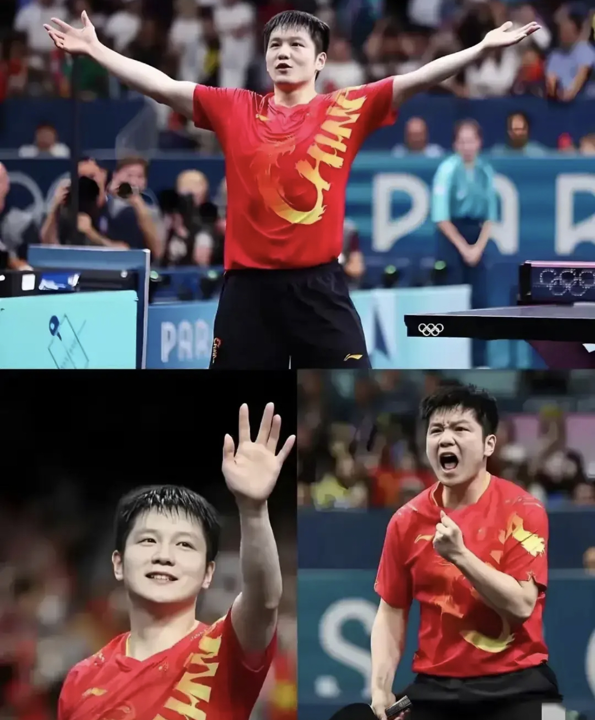 英格兰队力克韩国队，樊振东点燃赛场