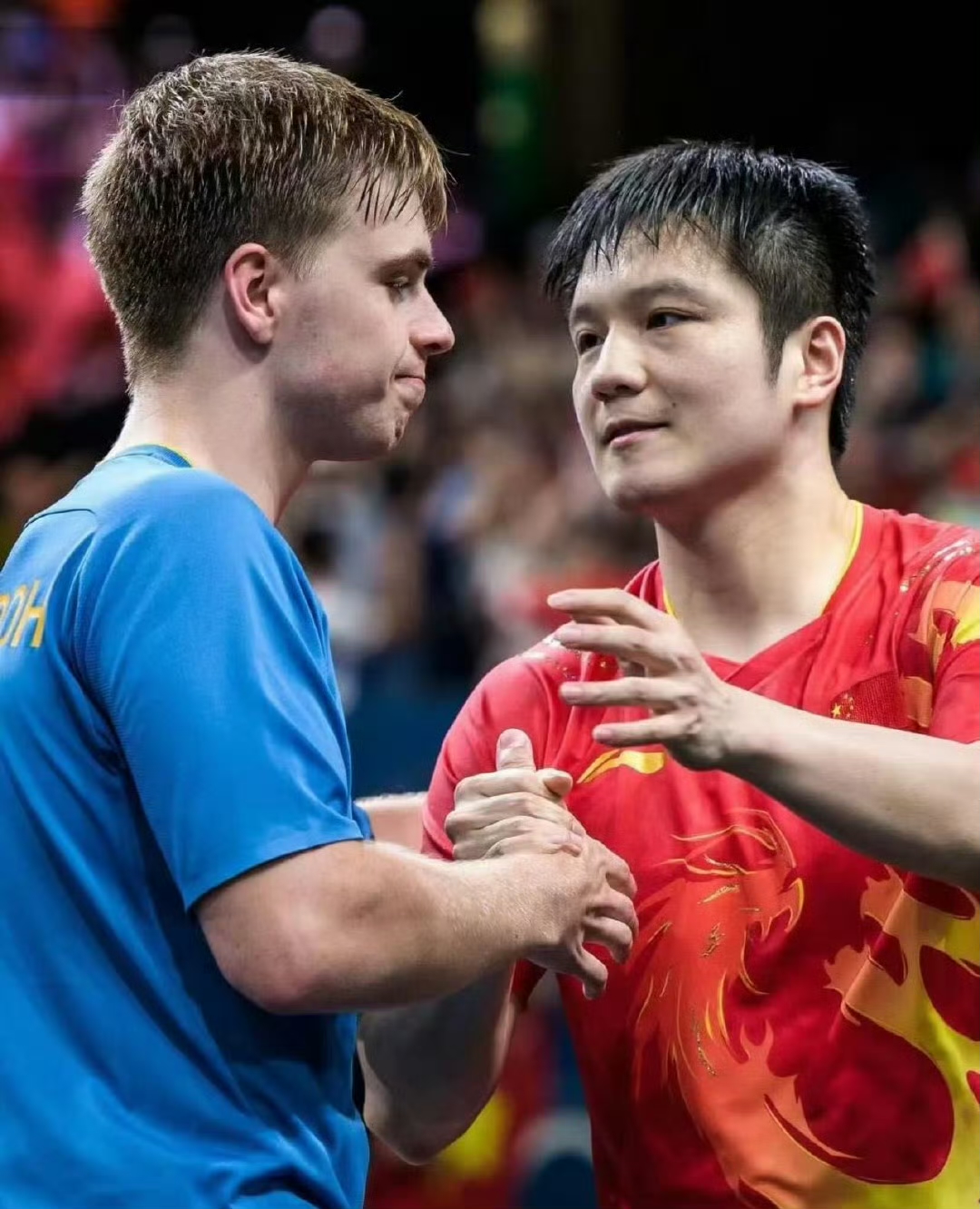 英格兰队力克韩国队，樊振东点燃赛场